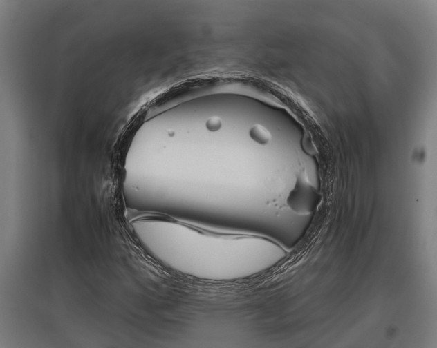 X0000095941160200801181354