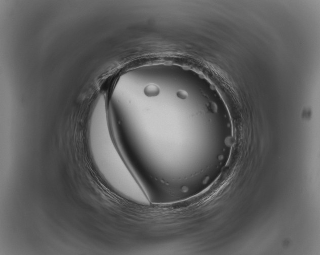 X0000095941161200801181354