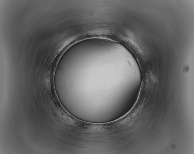 X0000095941162200801181354