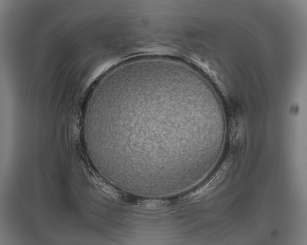 X0000095941163200801181354