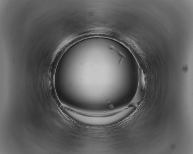 X0000095941164200801181354