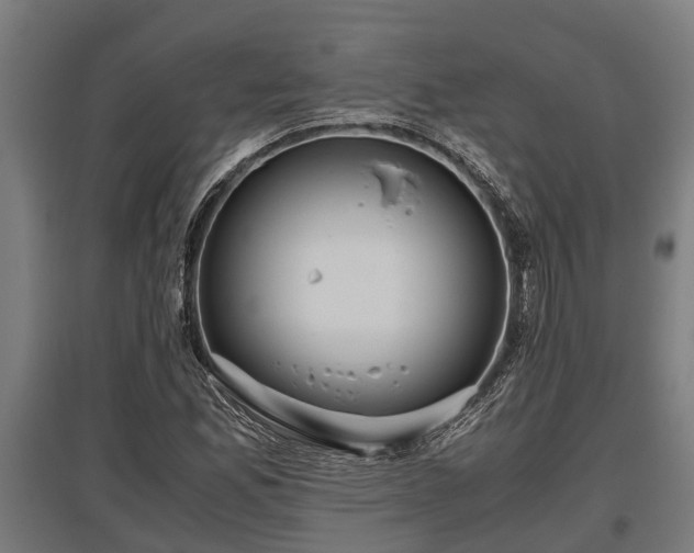 X0000095941165200801181354