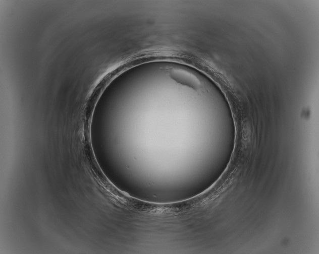 X0000095941166200801181354
