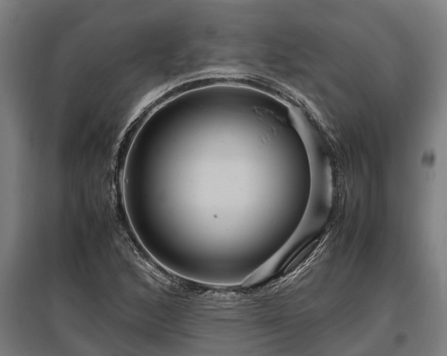 X0000095941168200801181354