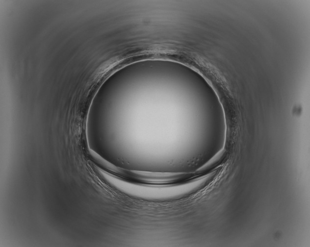 X0000095941169200801181354