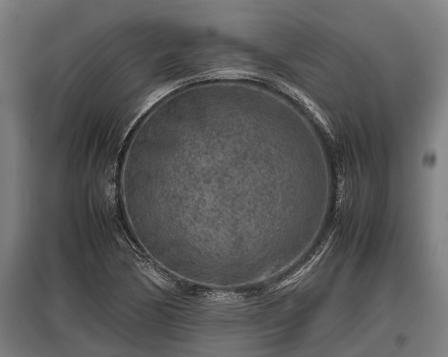 X0000095941170200801181354