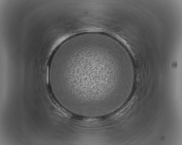 X0000095941171200801181354