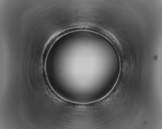 X0000095941172200801181354