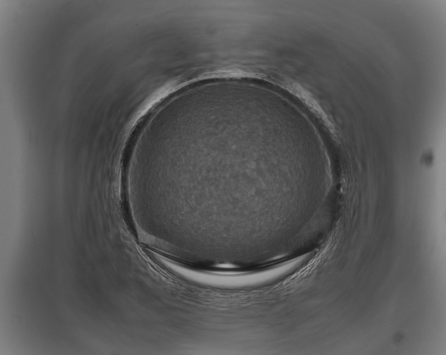 X0000095941173200801181354