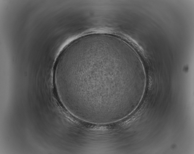 X0000095941174200801181354