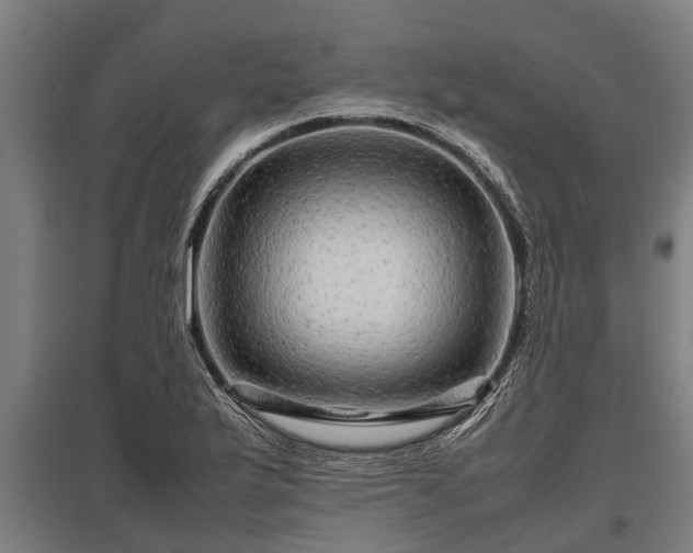 X0000095941175200801181354