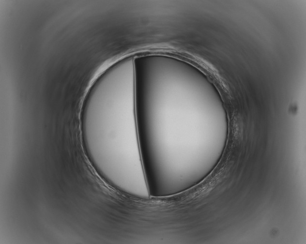 X0000095941176200801181354