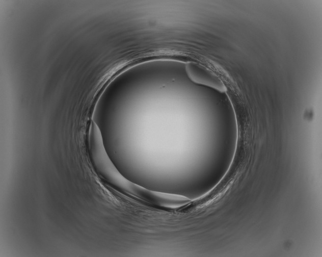 X0000095941177200801181354