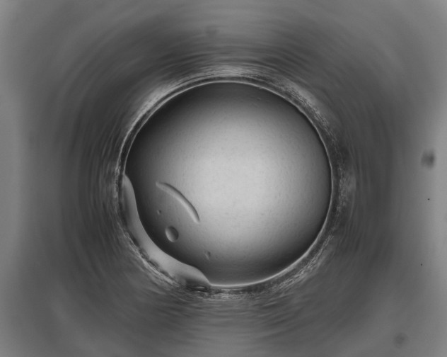 X0000095941178200801181354