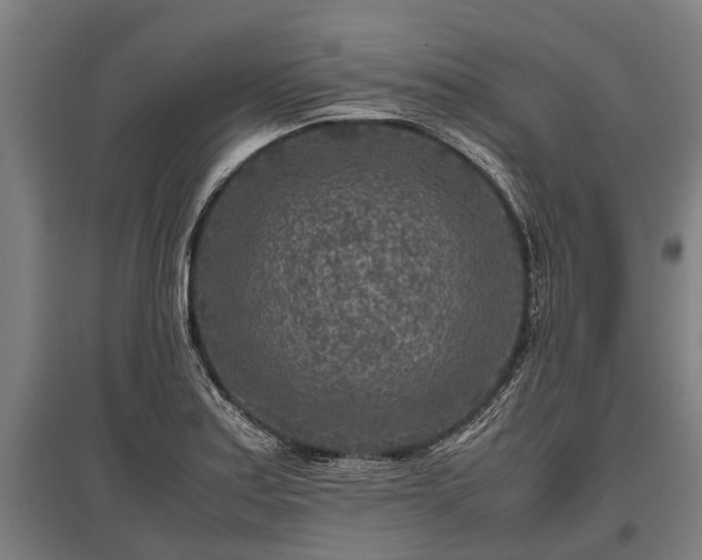 X0000095941179200801181354