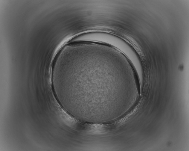 X0000095941180200801181354