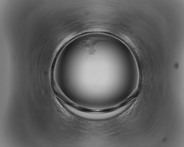 X0000095941181200801181354