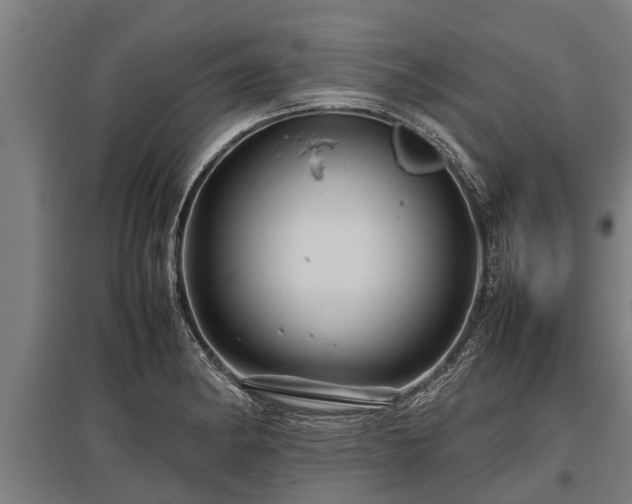 X0000095941182200801181354