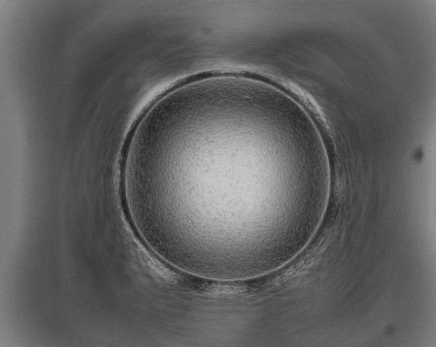 X0000095941183200801181354