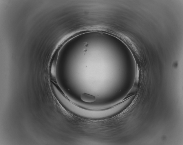 X0000095941184200801181354