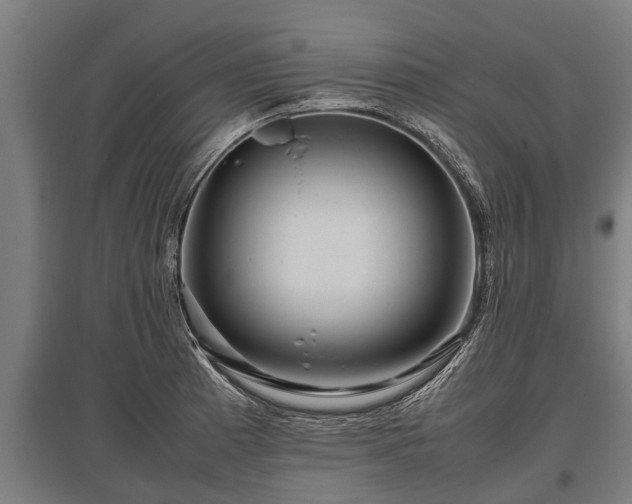 X0000095941185200801181354