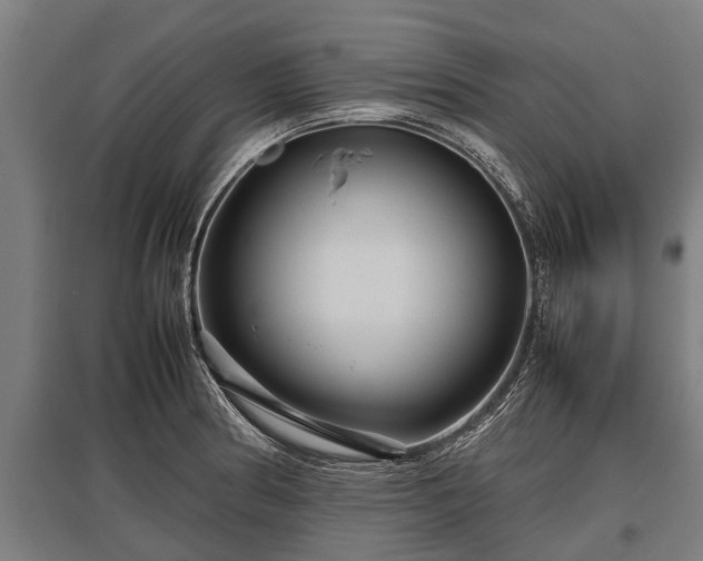X0000095941186200801181354