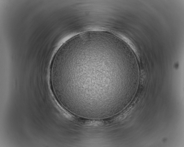 X0000095941187200801181354