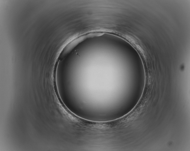 X0000095941189200801181354