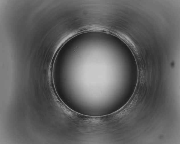 X0000095941190200801181354