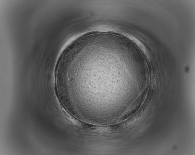 X0000095941191200801181354