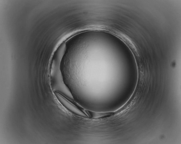 X0000095941192200801181354