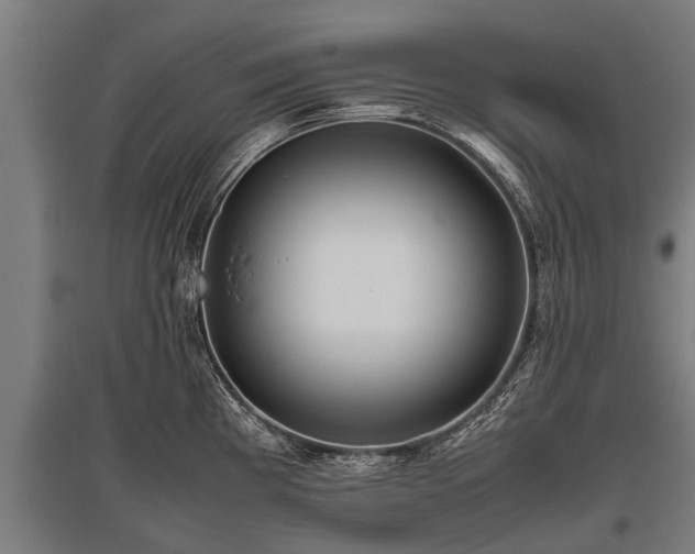 X0000095941193200801181354