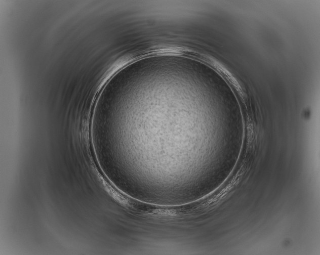X0000095941194200801181354
