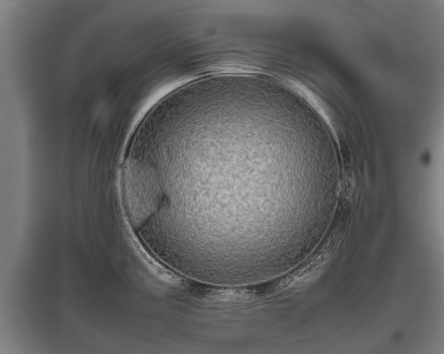 X0000095941195200801181354