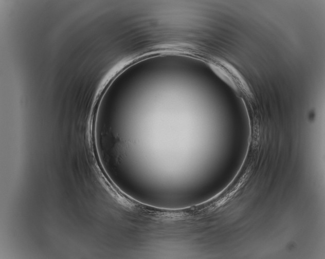 X0000095941196200801181354