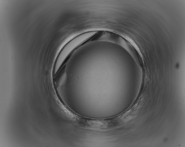 X0000095941197200801181354