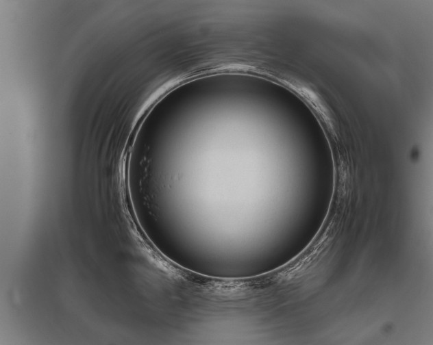 X0000095941198200801181354