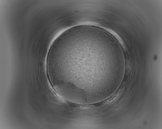 X0000095941199200801181354