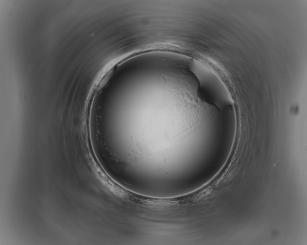 X0000095941200200801181354