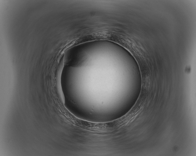 X0000095941201200801181353