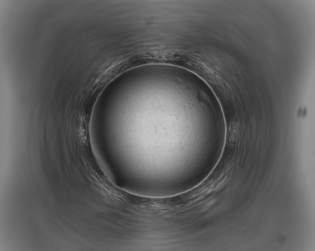 X0000095941202200801181353