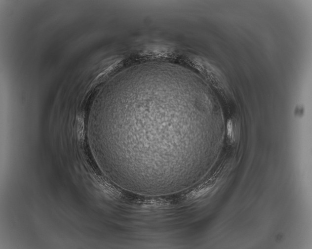 X0000095941203200801181353