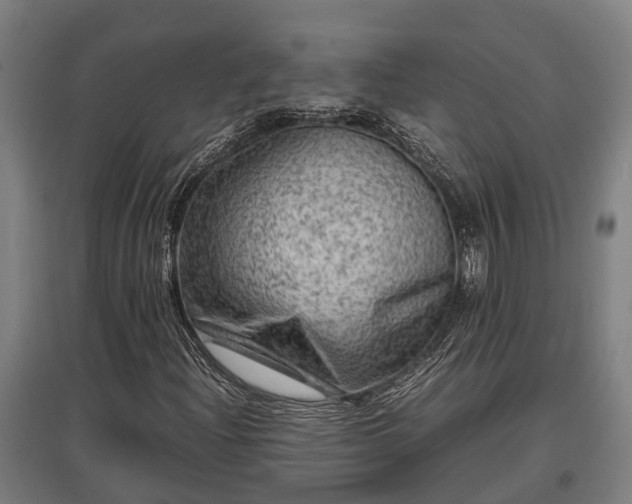 X0000095941204200801181353