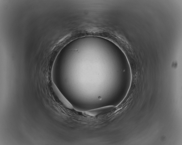 X0000095941205200801181353