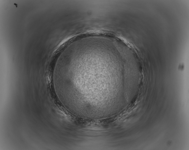 X0000095941206200801181353