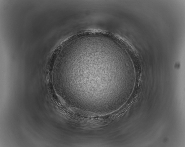X0000095941207200801181353