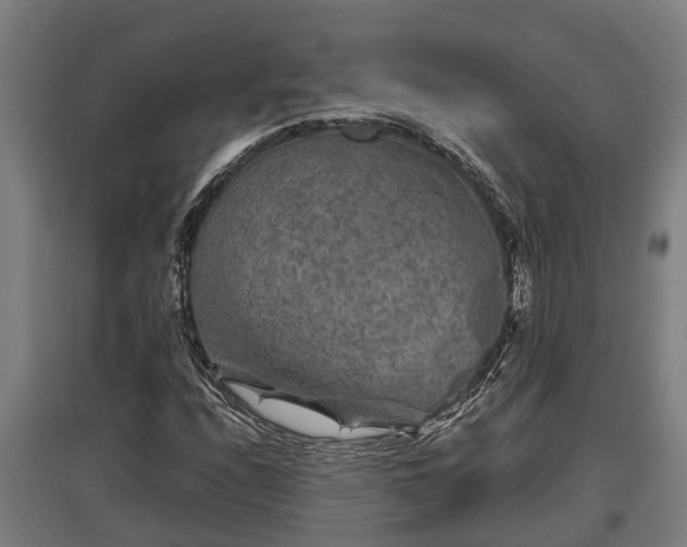 X0000095941208200801181353