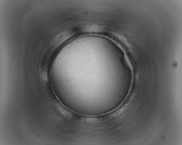 X0000095941209200801181353