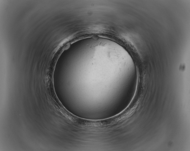 X0000095941210200801181353