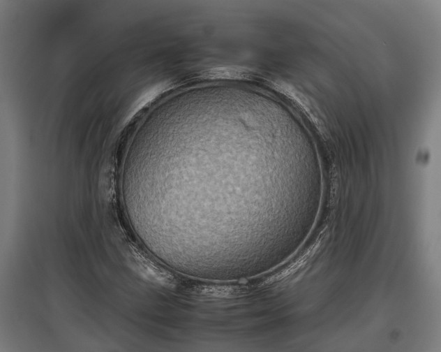 X0000095941211200801181353